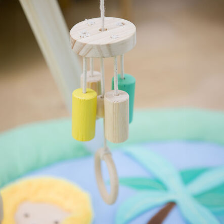 Safari Collection Baby Activity Gym \x26 Accessories  hi\-res